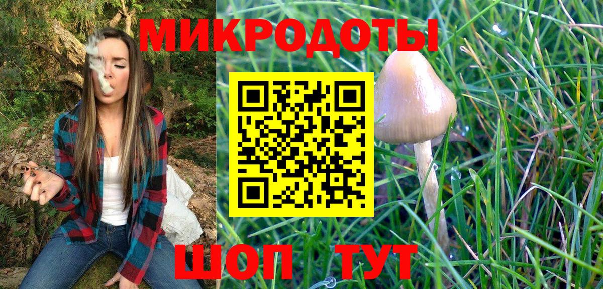 Псилоцибиновые грибы MAGIC MUSHROOMS Касимов