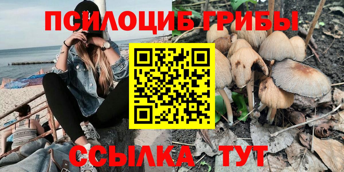 Касимов  Галлюциногенные грибы мицелий  Вход с VPN 